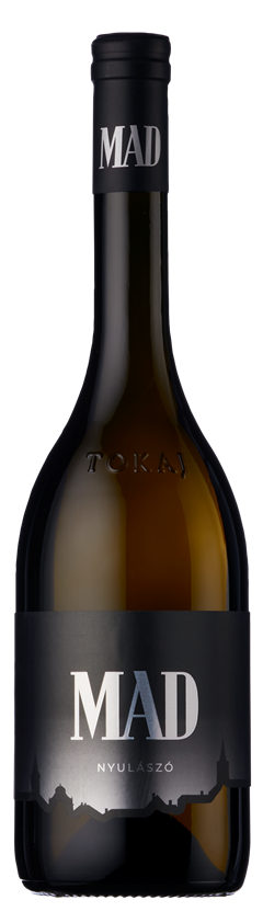 Mád, Nyulászó, Tokaji, Hungary, 2019