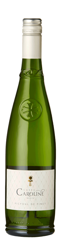 Famille Morin, Cuvée Caroline, Picpoul de Pinet, Languedoc, France, 2024