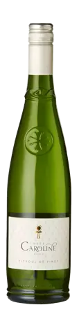 Bottle shot - Famille Morin, Cuvée Caroline, Picpoul de Pinet, France