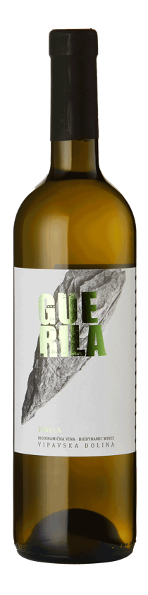 Pinela Guerila, Pinela, Vipava Valley, Slovenia - 2022 - Product code: 2592 ...