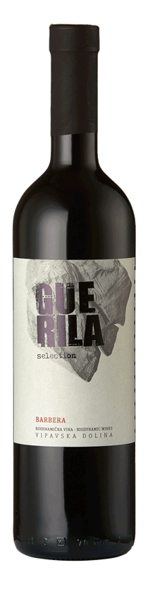 Guerila, Barbera Selection, Primorska, Slovenia, 2021