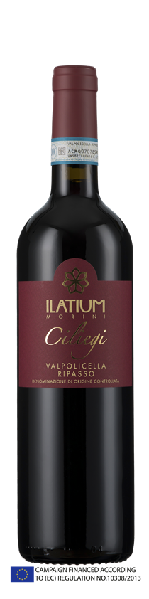 ILatium Morini, Valpolicella Ripasso Superiore, DOC, Ciliegi, Veneto, Italy, 2019