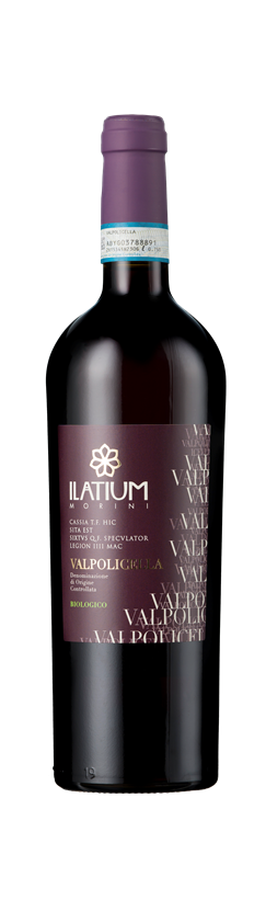 ILatium Morini, Valpolicella, DOC, Veneto, Italy, 2023