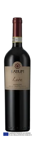 Bottle shot - ILatium Morini, Amarone della Valpolicella, DOCG, Léon, Veneto, Italy