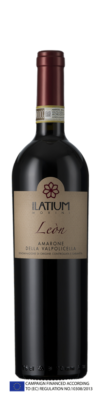 ILatium Morini, Amarone della Valpolicella, DOCG, Léon, Veneto, Italy, 2018