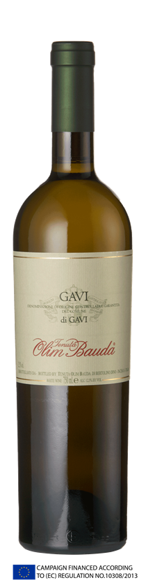 Tenuta Olim Bauda, Gavi di Gavi, DOCG, Piedmont, Italy, 2020