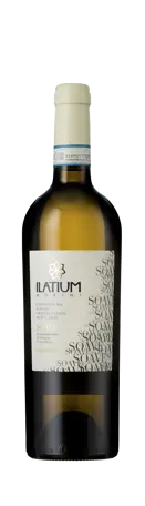Bottle shot - ILatium Morini, Soave, DOC, Veneto, Italy