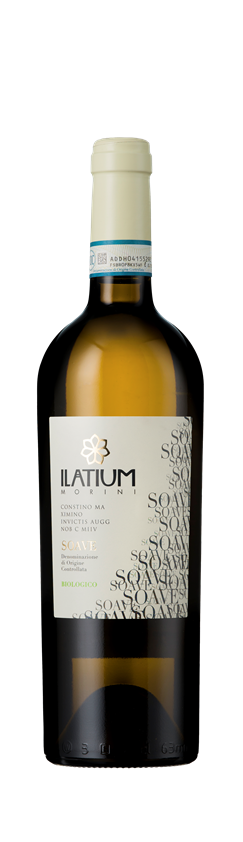 ILatium Morini, Soave, DOC, Veneto, Italy, 2023