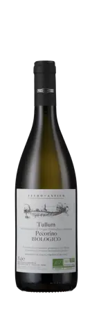 Bottle shot - Feudo Antico, Pecorino Biologico, Tullum, DOCG, Abrruzzo, Italy