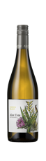 Image of Aloe Tree, Chenin Blanc, Western Cape, South Africa