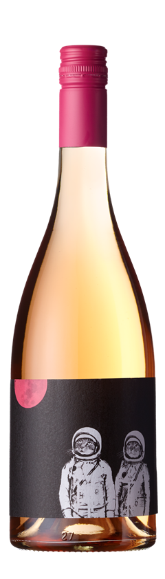 Felicette, Rosé, IGP Pays d'Oc, Roussillon, France, 2024