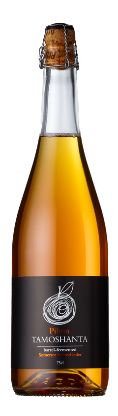 Pilton, Tomoshanta Cider, Somerset, England, 2016