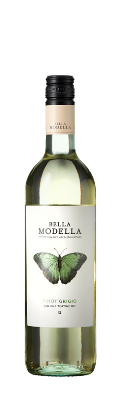 Bella Modella, Pinot Grigio, Terre de Chieti IGT, Abruzzo, Italy, 2021
