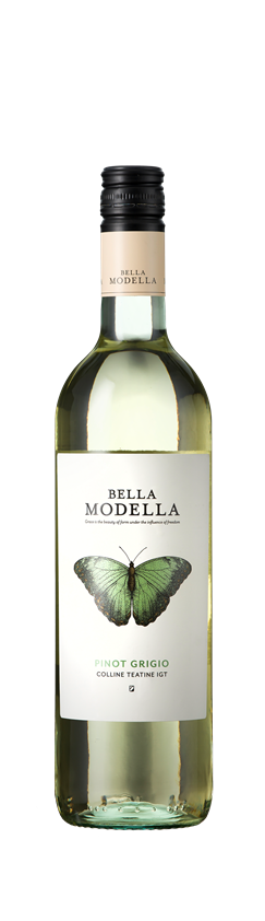 Bella Modella, Pinot Grigio, Colline Teatine IGT, Abruzzo, Italy, 2022