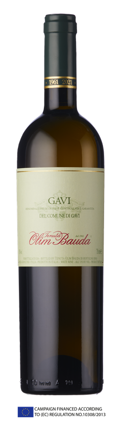 Tenuta Olim Bauda, Gavi del Comune di Gavi, DOCG, Piedmont, Italy, 2023