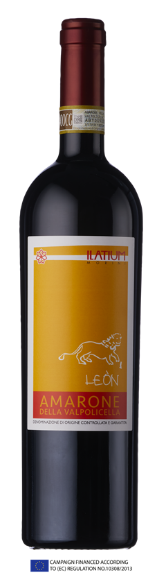 ILatium Morini, Amarone della Valpolicella, DOCG, Léon, Veneto, Italy, 2016