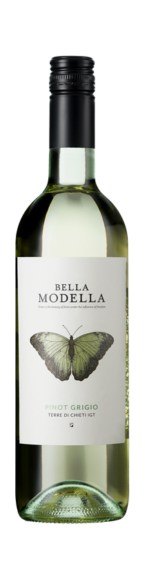 Bella Modella, Pinot Grigio, IGT Terre di Chieti, Abruzzo, Italy, 2023