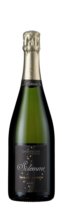 Solemme, Terre de Solemme, Montagne de Reims, Champagne, France