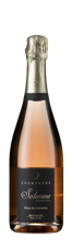 Bottle shot - Solemme, Rosé de Solemme, Montagne de Reims, Champagne, France