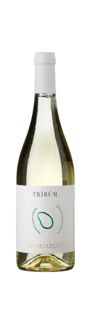 Bottle shot - Feudo Antico, Tríbúm, Pecorino, Biologico, Terre d'Abruzzo IGT, Abruzzo, Italy
