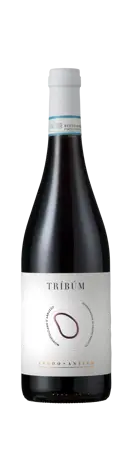 Bottle shot - Feudo Antico, Tríbúm, Montepulciano d'Abruzzo Biologico, DOP, Abruzzo, Italy