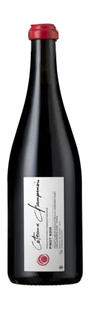 Bottle shot - Champagne Fleury, Coteaux Champenois Rouge, Champagne, France