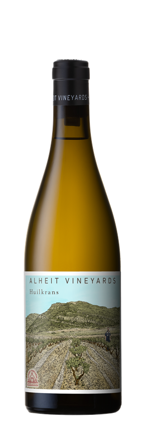 Alheit Vineyards, Huilkrans, Western Cape, South Africa, 2023