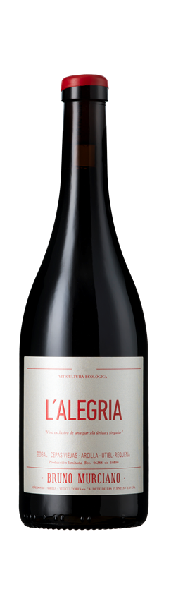 Bruno Murciano, L'Alegria, Valencia, Spain, 2023