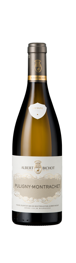 Albert Bichot, Puligny Montrachet, Burgundy, France, 2022