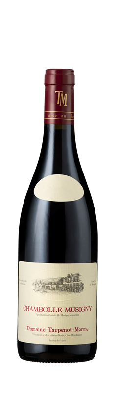 Domaine Taupenot-Merme, Chambolle-Musigny, Burgundy, France, 2022