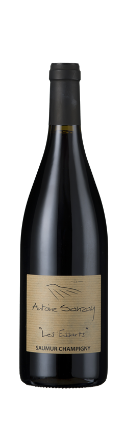 Antoine Sanzay, Saumur Blanc, Les Essarts, Saumur, Varrains, Anjou-Saumur, Loire, France, 2021