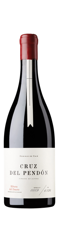 Bodegas Dominio de Cair, Cair Cruz del Pendon, Ribera del Duero, Spain, 2022