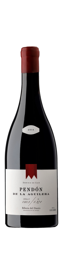 Bodegas Dominio de Cair, Cair Pendon de la Aguilera, Ribera del Duero, Spain, 2021
