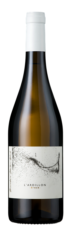 Brendan Stater West, Saumur Blanc, L'Ardillon, Loire, France, 2022