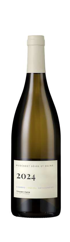 Le Fay d'Homme, Muscadet Sevre-et-Maine, Nantais, Loire, France, 2024