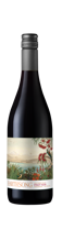Bottle shot - Earthsong, Single Vineyard Pinot Noir, Southern Valleys, New Zealand