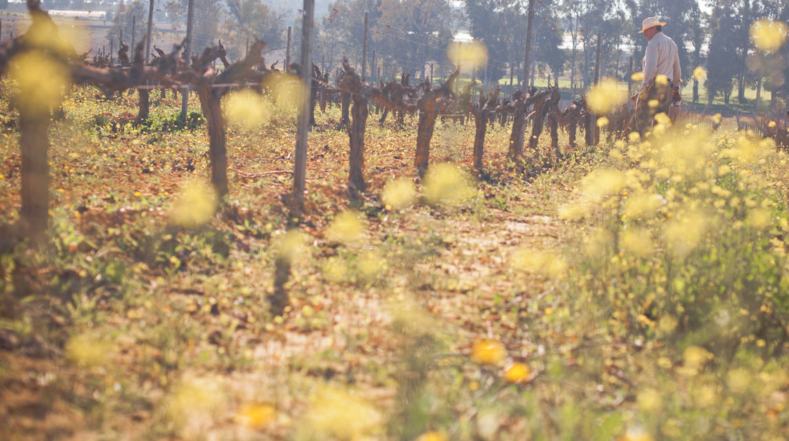 Bodegas Contreras Ruiz