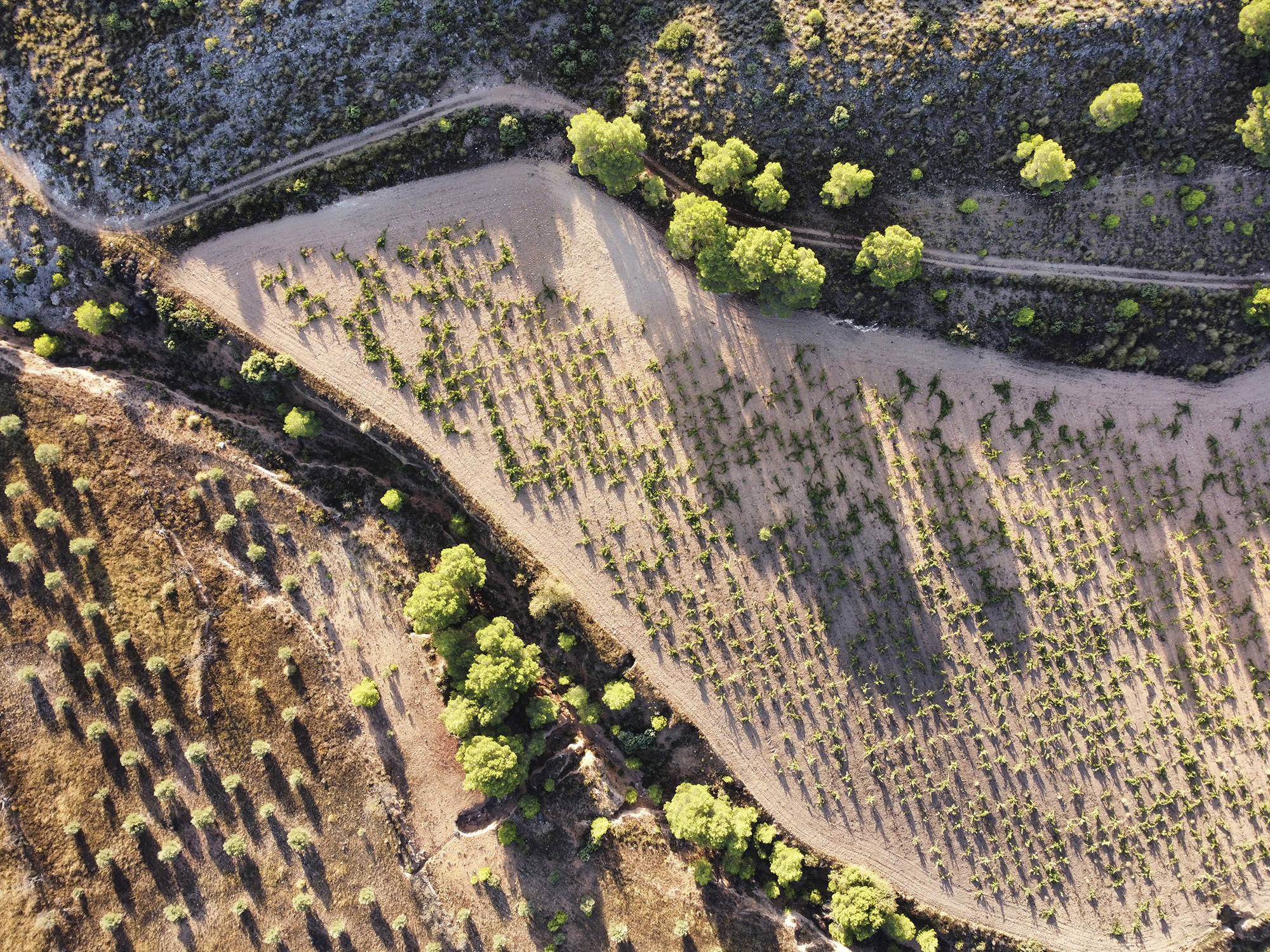 Bruma del Estrecho de Marin