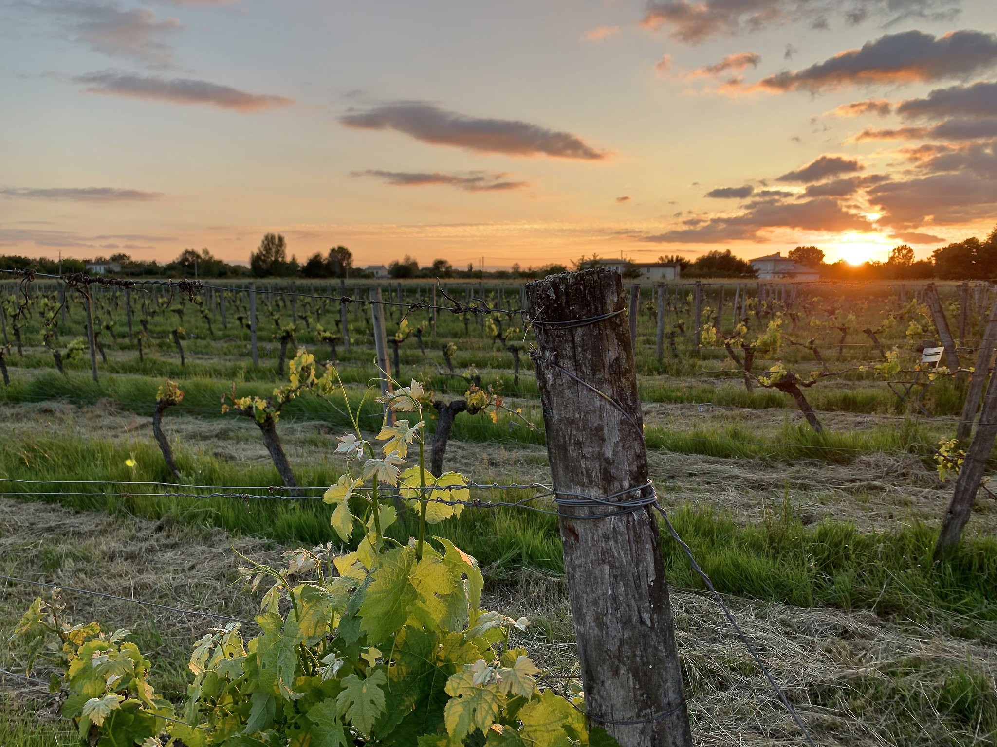 Olivier Cazenave et Château