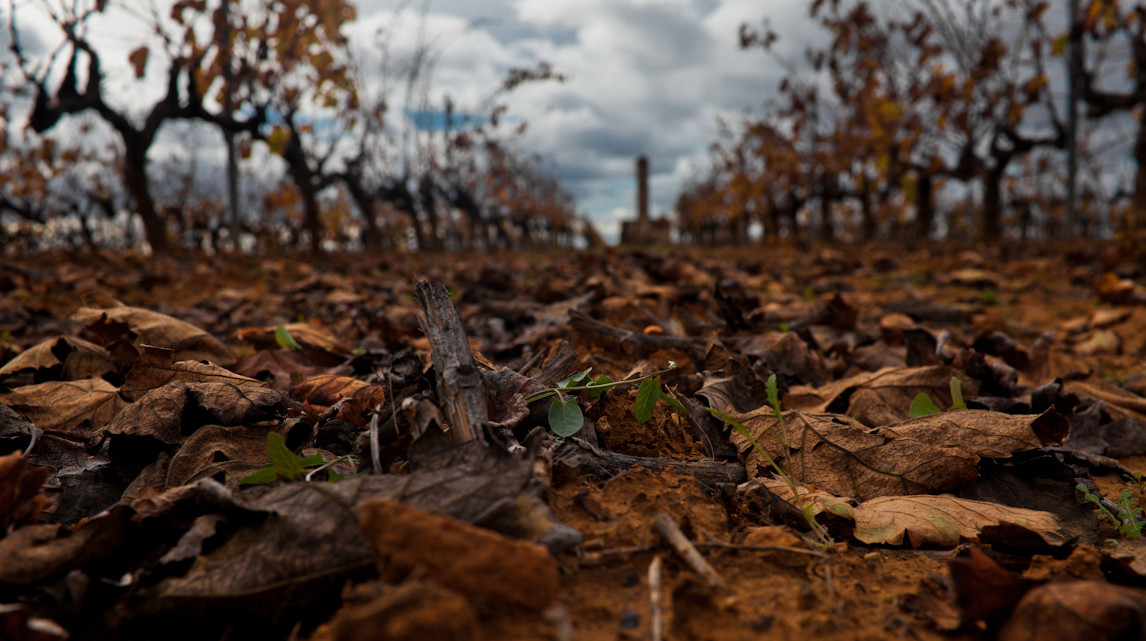 Bodegas Contreras Ruiz