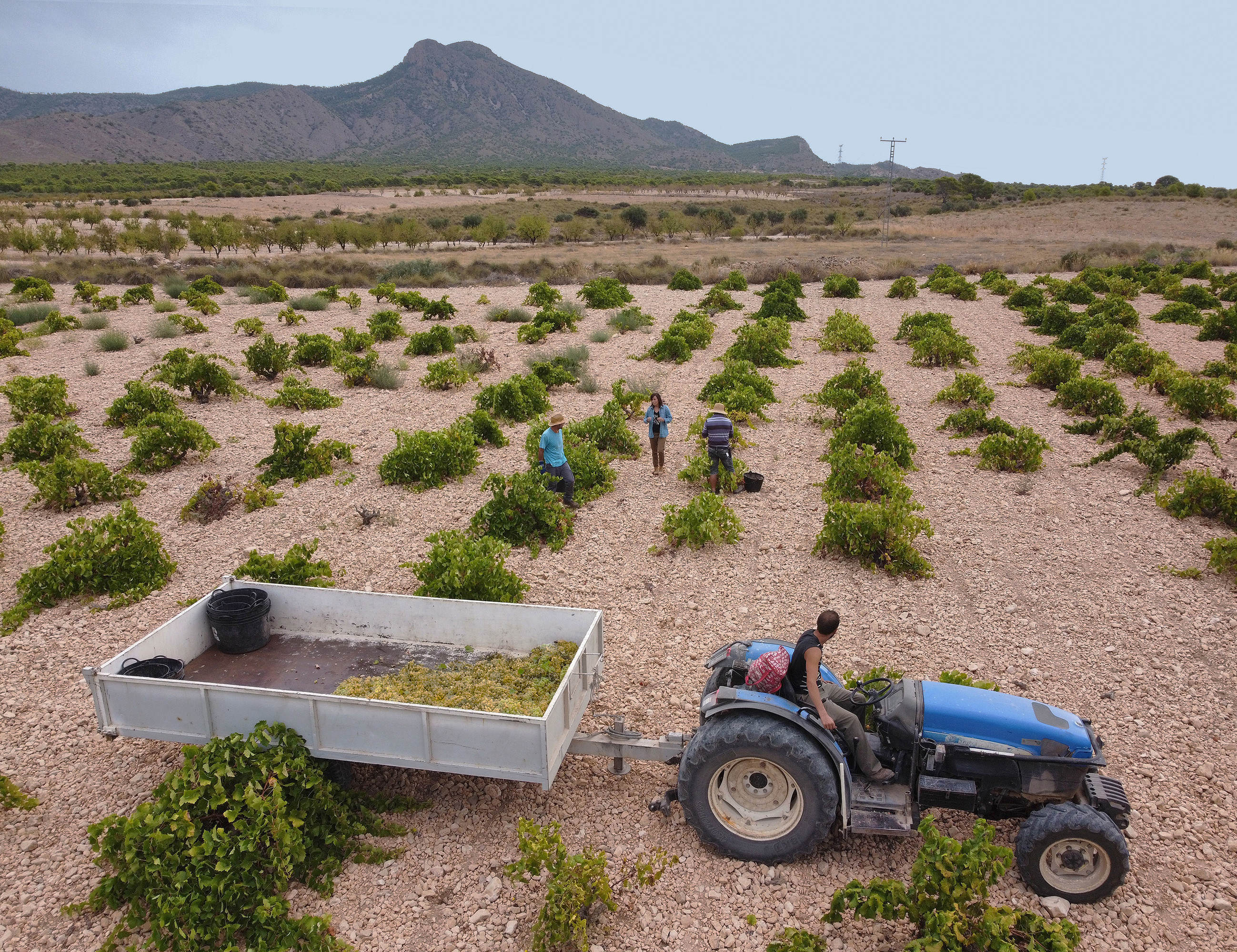 Bruma del Estrecho de Marin