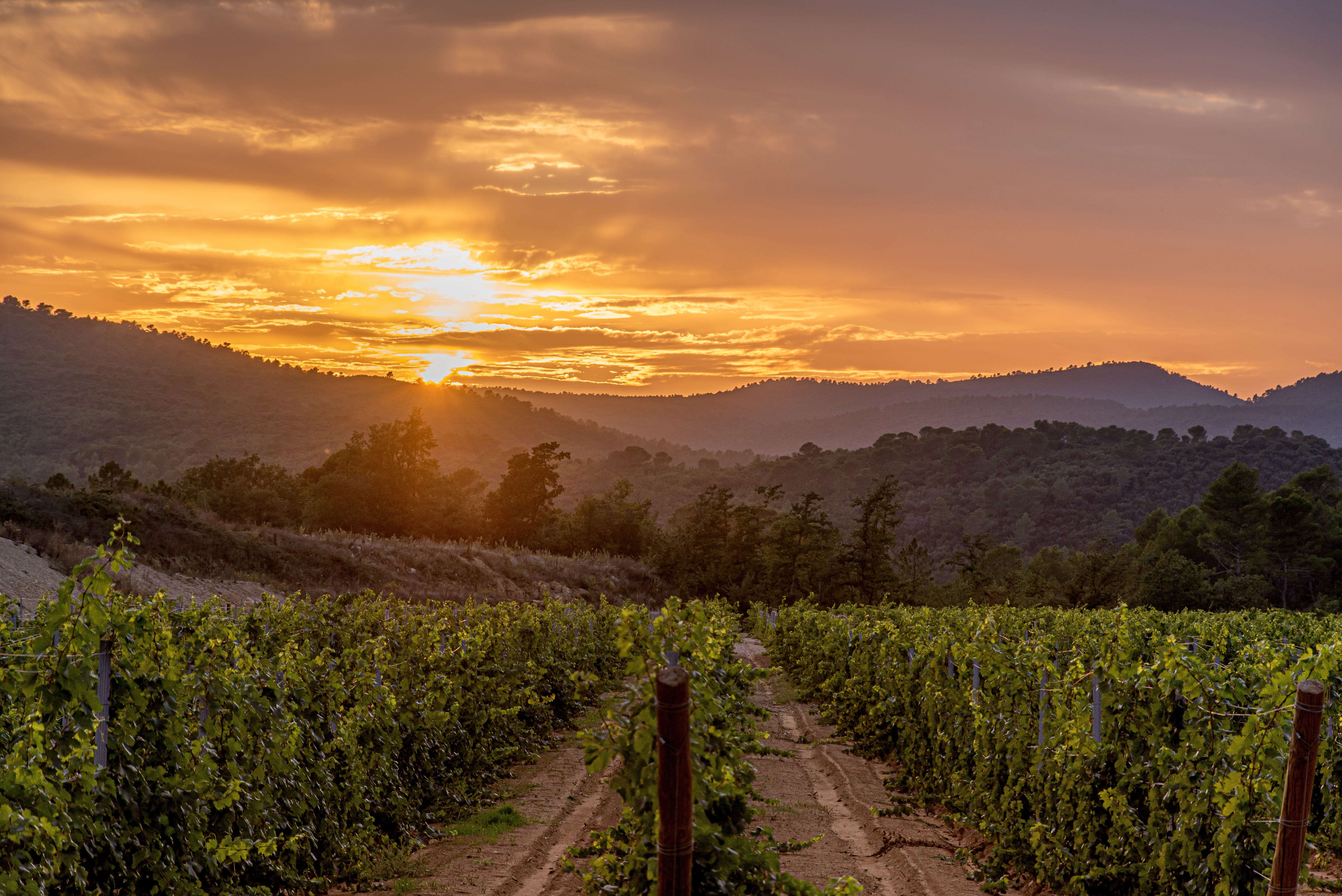 Château L’ Escarelle