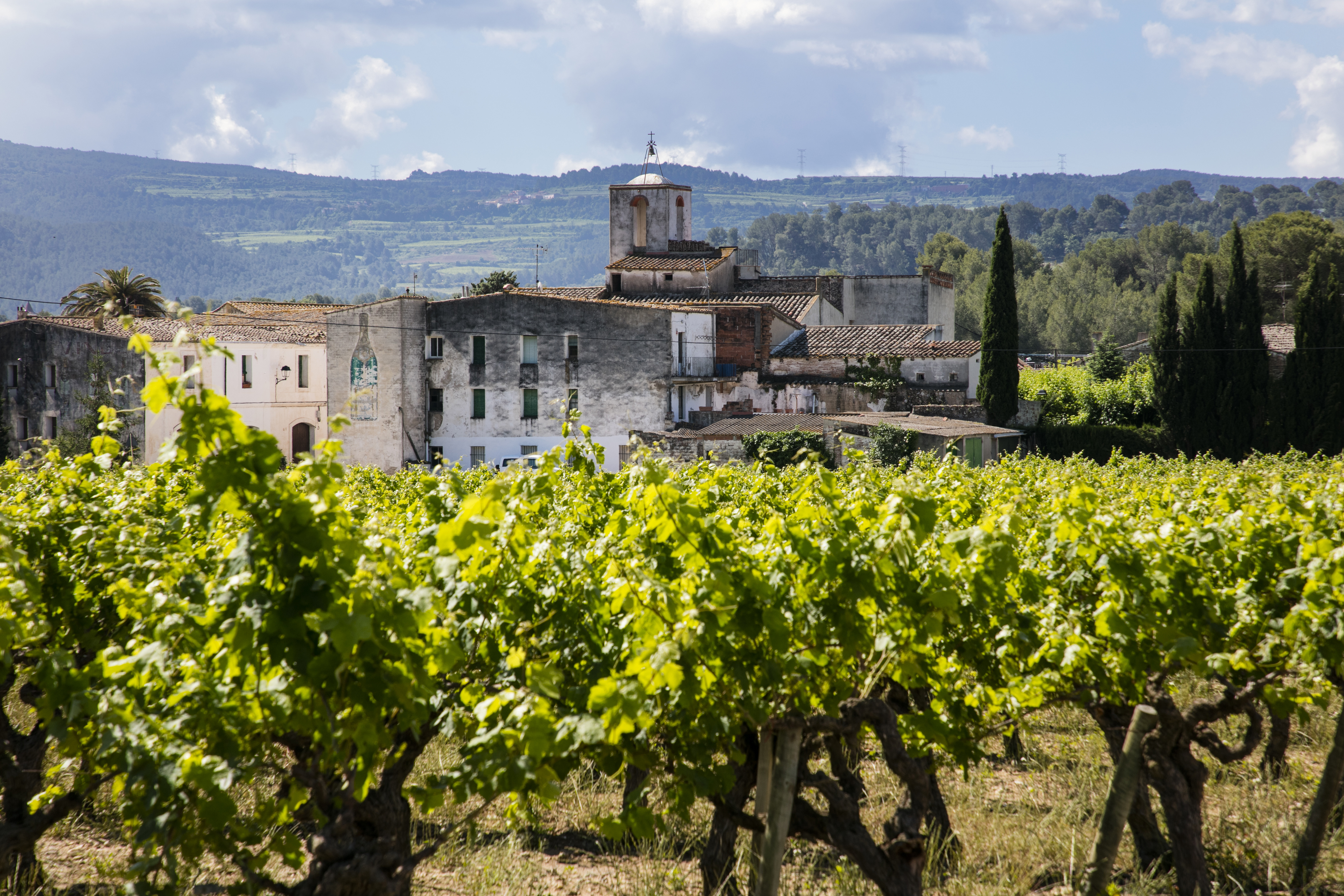 BODEGAS SUMARROCA, Spain