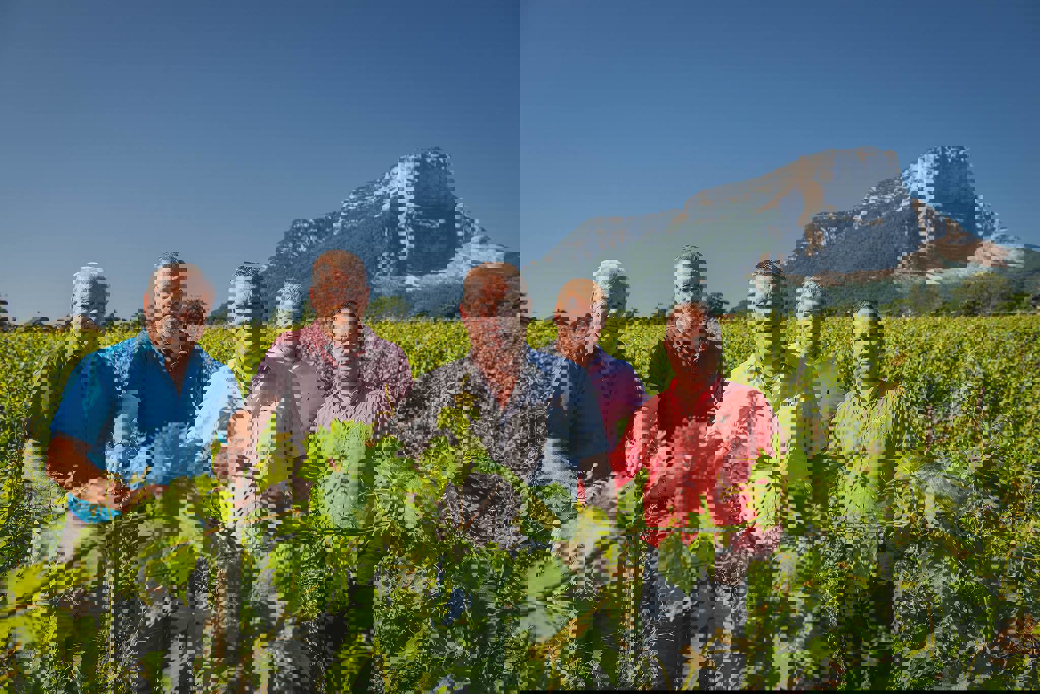 Domaine Jean Perrier et Fils