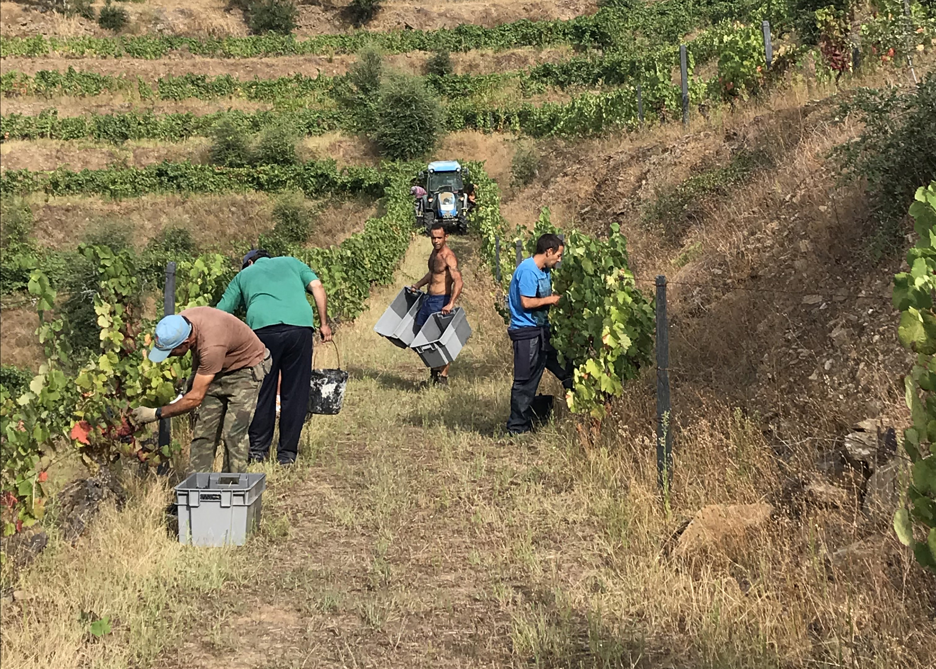 QUINTA DA COSTA DO PINHÃO, Portugal