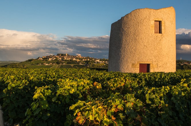 Domaine Reverdy Ducroux