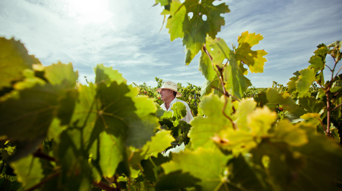 Bodegas Contreras Ruiz