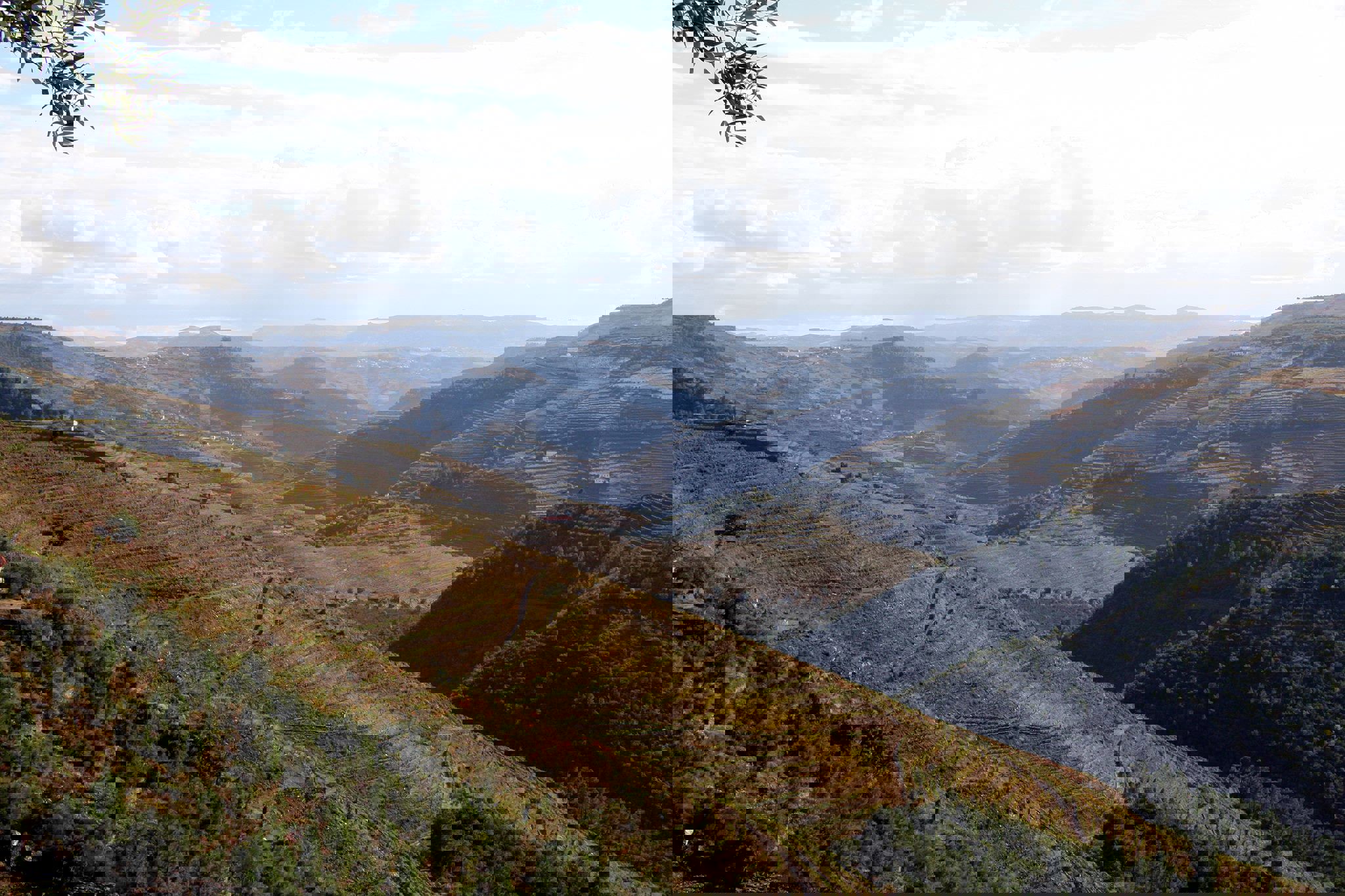 QUINTA DA COSTA DO PINHÃO, Portugal