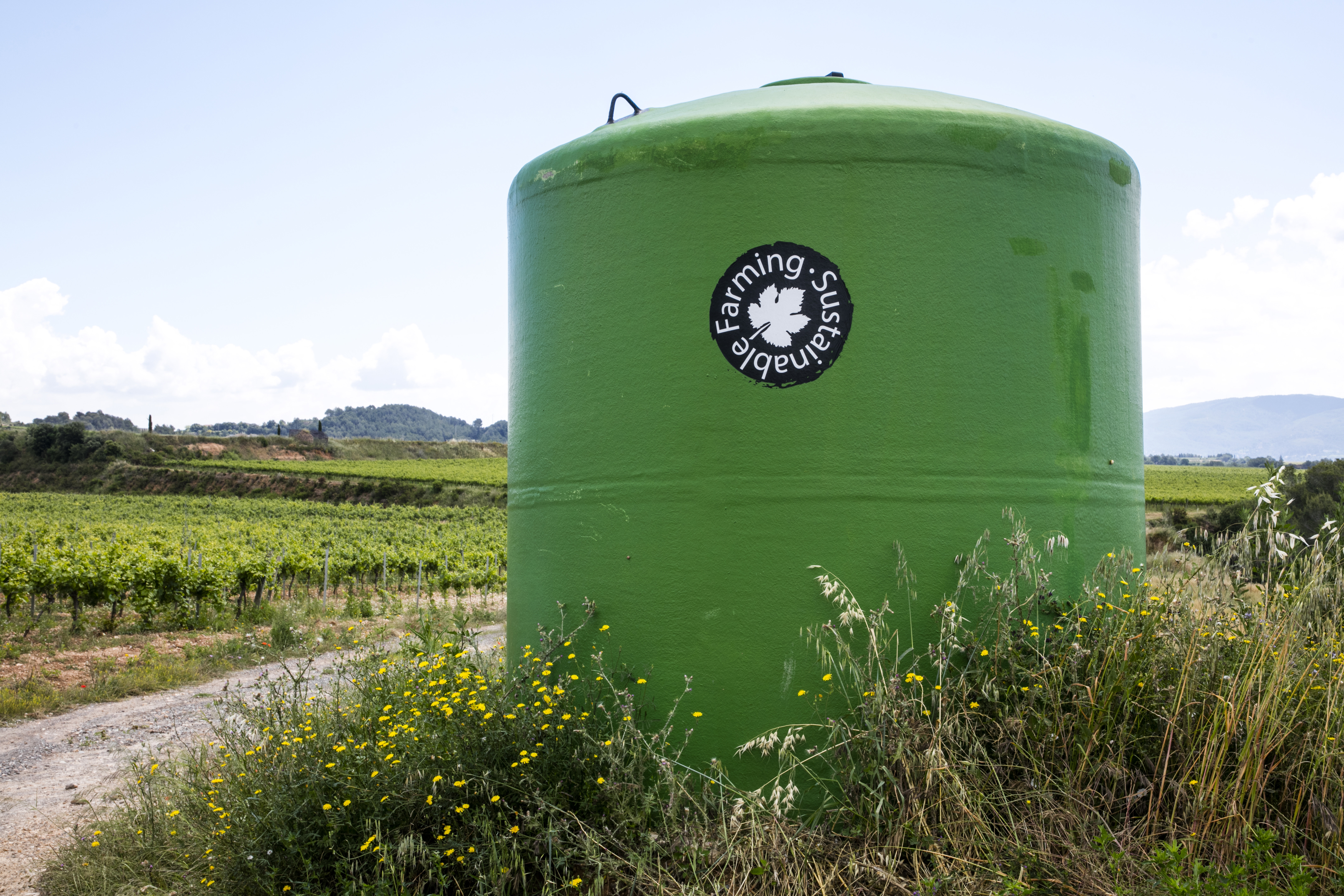 BODEGAS SUMARROCA, Spain