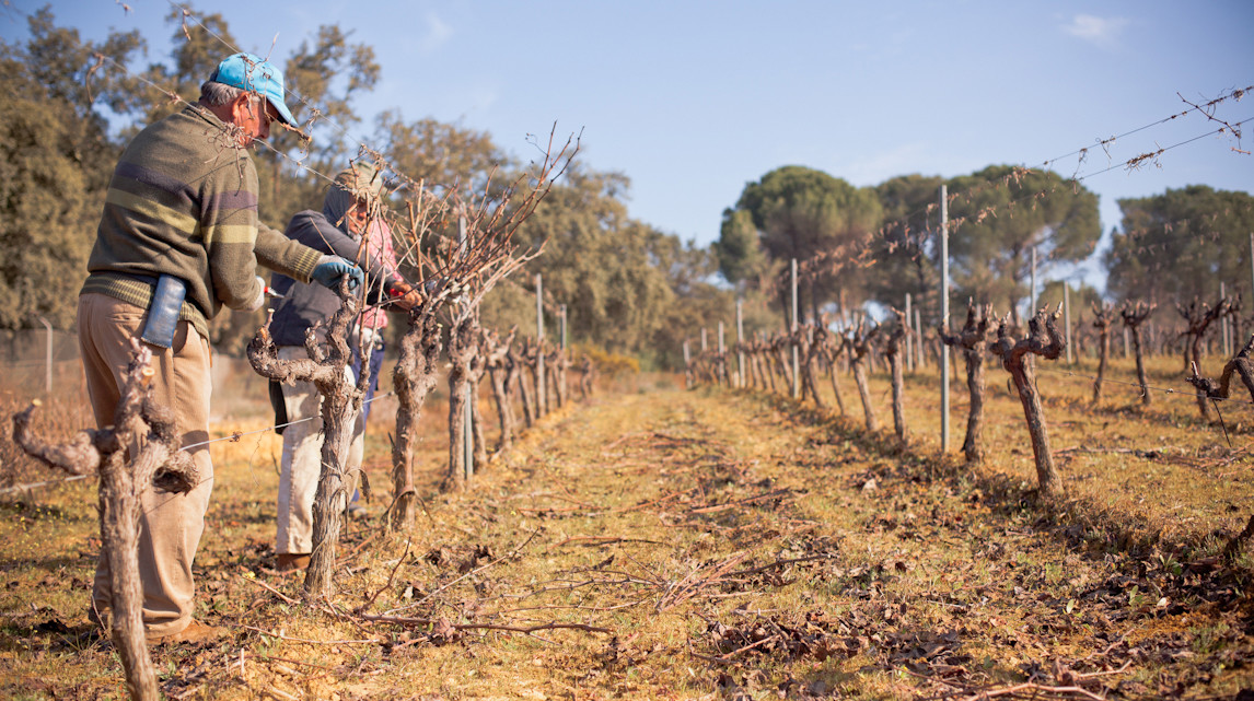 Bodegas Contreras Ruiz